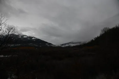 DSC_5878 (Large).JPG